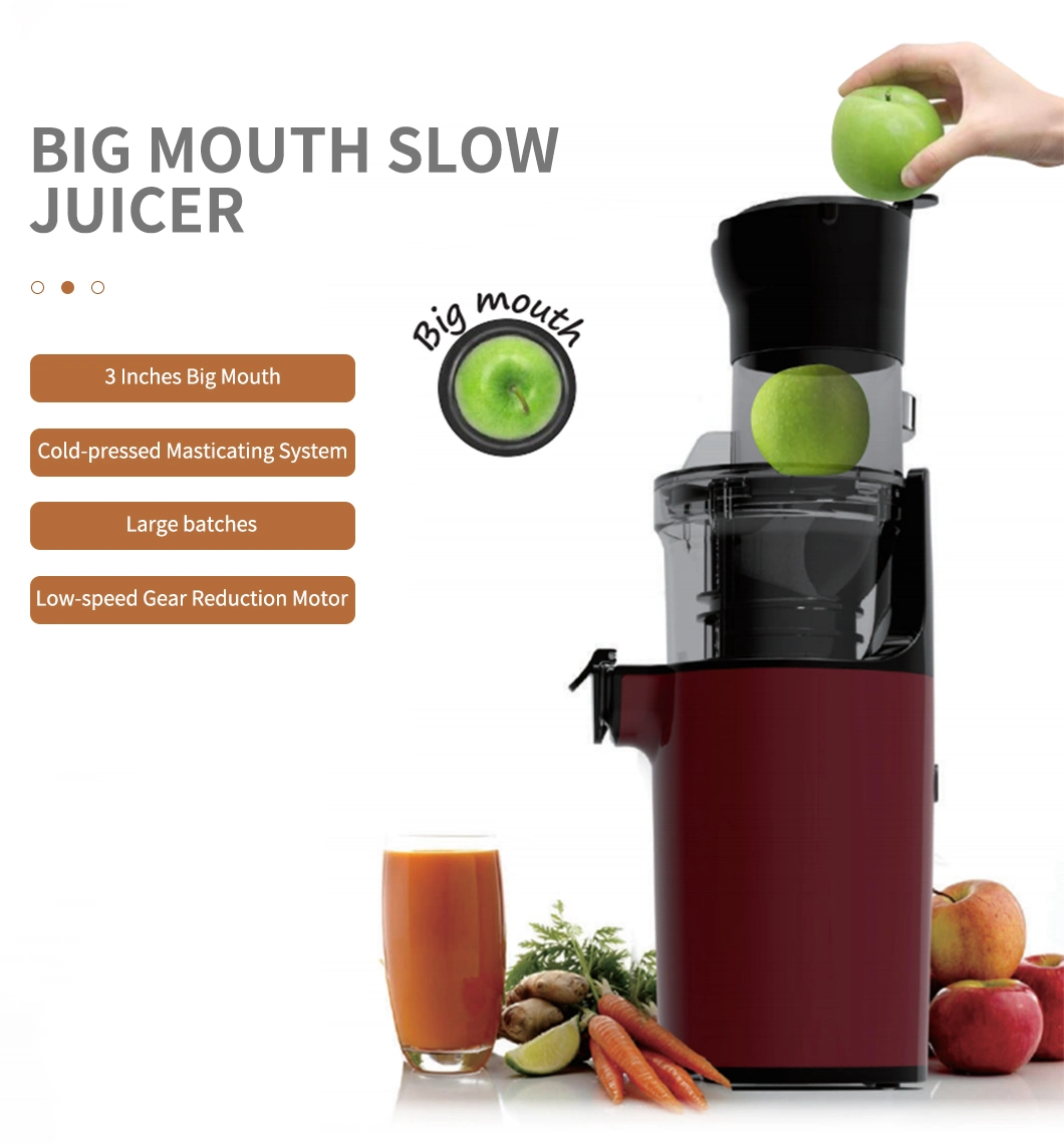 Masticating Electric Slow Juicer with Wide Feed Chute Big Mouth Juicers